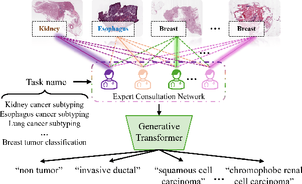 Figure 1 for MECFormer: Multi-task Whole Slide Image Classification with Expert Consultation Network