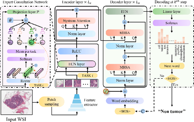 Figure 3 for MECFormer: Multi-task Whole Slide Image Classification with Expert Consultation Network