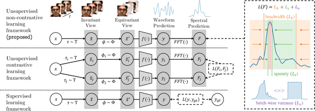 Figure 1 for SiNC+: Adaptive Camera-Based Vitals with Unsupervised Learning of Periodic Signals