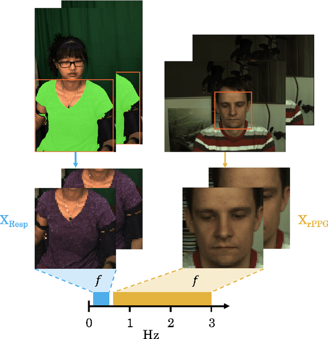 Figure 3 for SiNC+: Adaptive Camera-Based Vitals with Unsupervised Learning of Periodic Signals