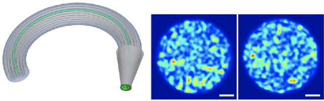 Figure 1 for A primal-dual data-driven method for computational optical imaging with a photonic lantern