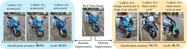 Figure 1 for DIAGen: Diverse Image Augmentation with Generative Models