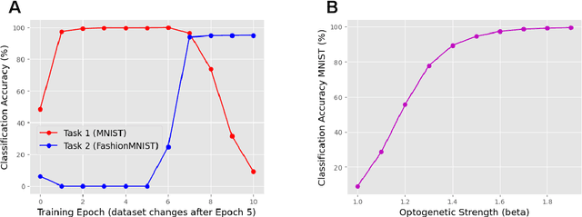 Figure 3 for Key-value memory in the brain