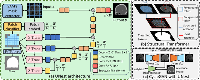 Figure 3 for Structural Attention: Rethinking Transformer for Unpaired Medical Image Synthesis