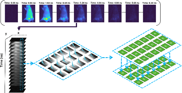 Figure 3 for Unlocking Real-Time Fluorescence Lifetime Imaging: Multi-Pixel Parallelism for FPGA-Accelerated Processing