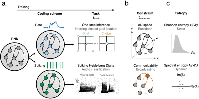 Figure 2 for Spatial embedding promotes a specific form of modularity with low entropy and heterogeneous spectral dynamics