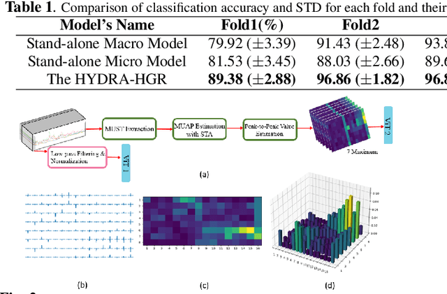 Figure 2 for HYDRA-HGR: A Hybrid Transformer-based Architecture for Fusion of Macroscopic and Microscopic Neural Drive Information