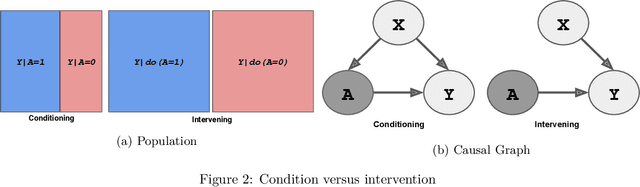Figure 2 for Active and Passive Causal Inference Learning