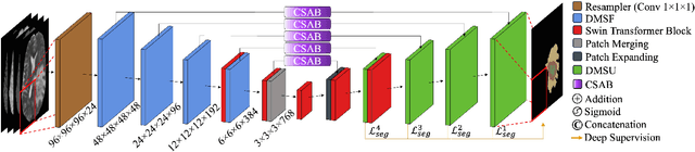 Figure 1 for GLIMS: Attention-Guided Lightweight Multi-Scale Hybrid Network for Volumetric Semantic Segmentation