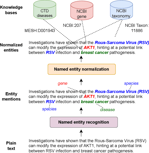 Figure 1 for HunFlair2 in a cross-corpus evaluation of biomedical named entity recognition and normalization tools