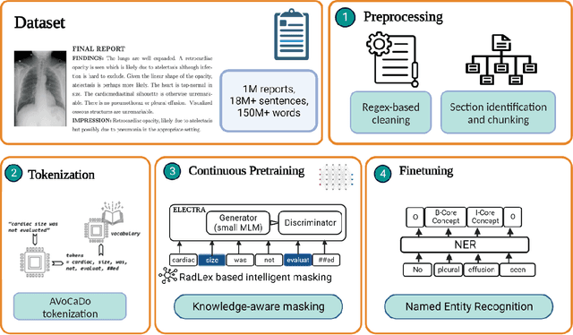 Figure 3 for General-Purpose vs. Domain-Adapted Large Language Models for Extraction of Data from Thoracic Radiology Reports