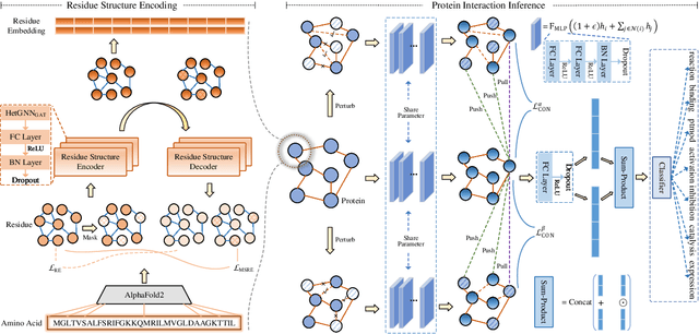 Figure 1 for Joint Masked Reconstruction and Contrastive Learning for Mining Interactions Between Proteins