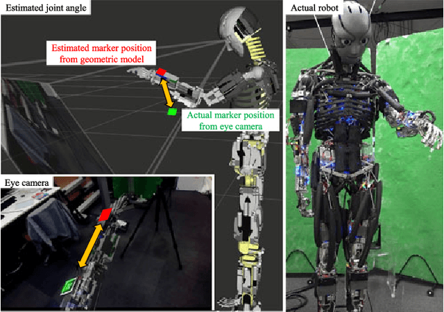 Figure 1 for Online Learning of Joint-Muscle Mapping Using Vision in Tendon-driven Musculoskeletal Humanoids