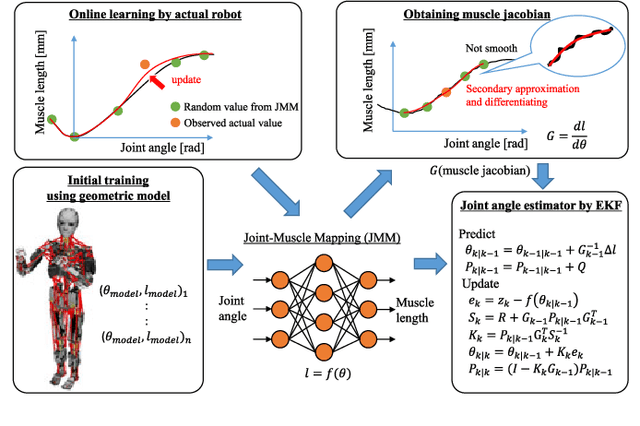 Figure 2 for Online Learning of Joint-Muscle Mapping Using Vision in Tendon-driven Musculoskeletal Humanoids