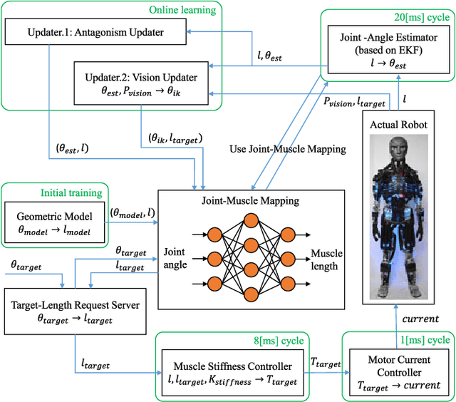 Figure 3 for Online Learning of Joint-Muscle Mapping Using Vision in Tendon-driven Musculoskeletal Humanoids