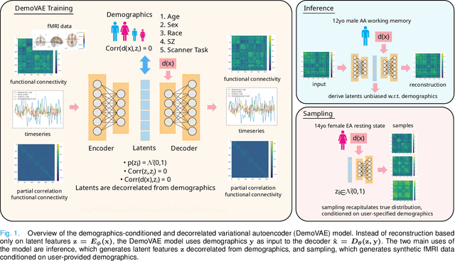 Figure 1 for A Demographic-Conditioned Variational Autoencoder for fMRI Distribution Sampling and Removal of Confounds