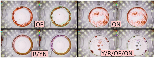 Figure 4 for AI-Driven Robotic Crystal Explorer for Rapid Polymorph Identification