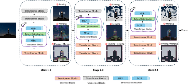 Figure 2 for PRANCE: Joint Token-Optimization and Structural Channel-Pruning for Adaptive ViT Inference