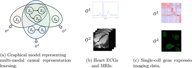 Figure 3 for Causal Structure and Representation Learning with Biomedical Applications