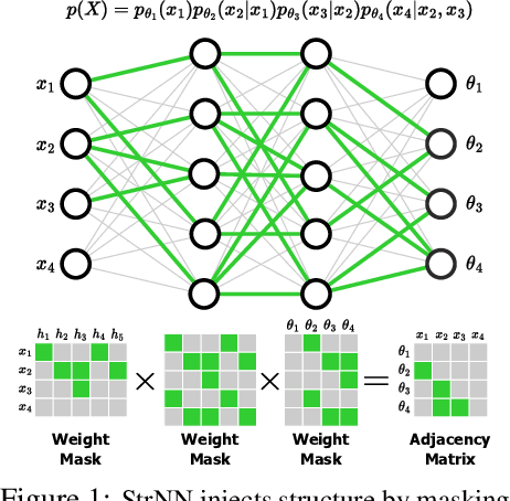 Figure 1 for Structured Neural Networks for Density Estimation and Causal Inference