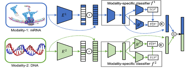 Figure 1 for Exploring Multi-Modality Dynamics: Insights and Challenges in Multimodal Fusion for Biomedical Tasks