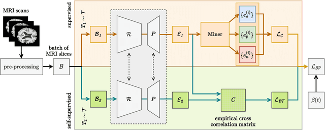 Figure 1 for DeepBrainPrint: A Novel Contrastive Framework for Brain MRI Re-Identification