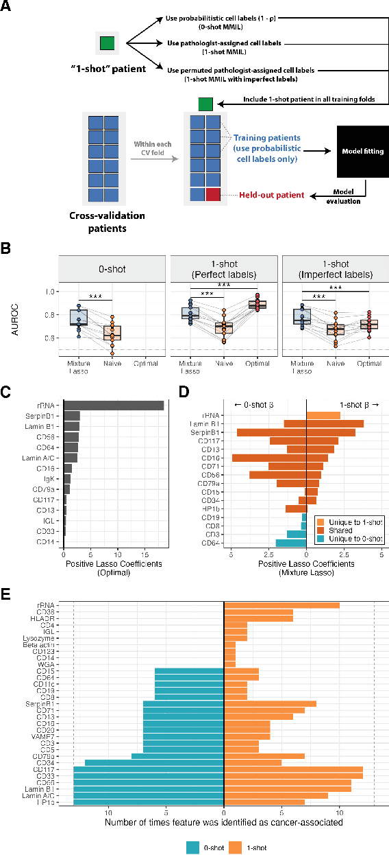 Figure 4 for MMIL: A novel algorithm for disease associated cell type discovery