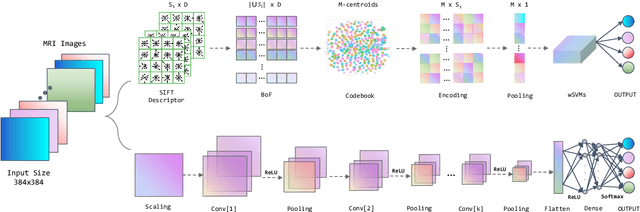 Figure 1 for Robust Brain MRI Image Classification with SIBOW-SVM