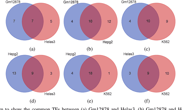 Figure 3 for TFBS-Finder: Deep Learning-based Model with DNABERT and Convolutional Networks to Predict Transcription Factor Binding Sites