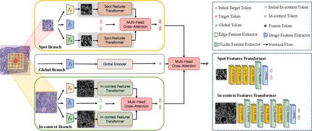 Figure 2 for Boundary-Guided Learning for Gene Expression Prediction in Spatial Transcriptomics