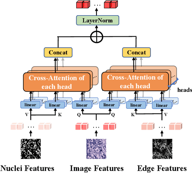 Figure 3 for Boundary-Guided Learning for Gene Expression Prediction in Spatial Transcriptomics