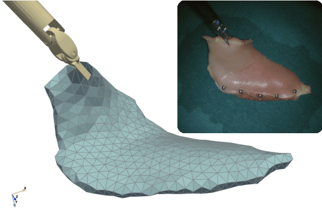 Figure 1 for Robust Surgical Tool Tracking with Pixel-based Probabilities for Projected Geometric Primitives