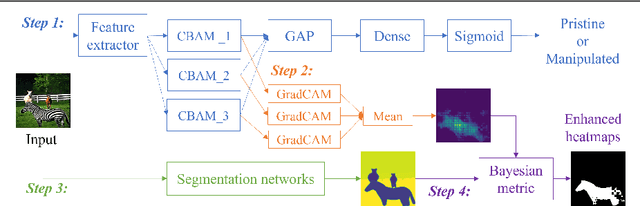 Figure 1 for Weakly-supervised Localization of Manipulated Image Regions Using Multi-resolution Learned Features