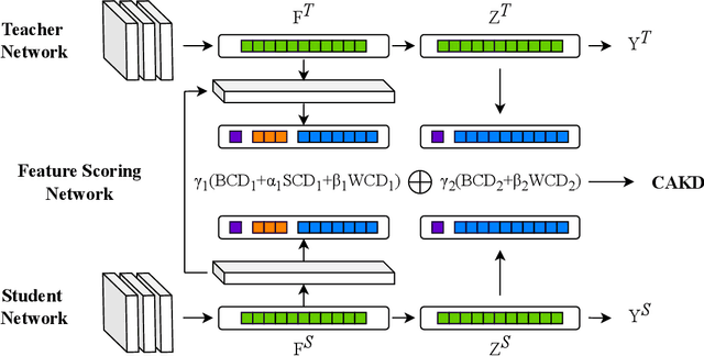 Figure 1 for CAKD: A Correlation-Aware Knowledge Distillation Framework Based on Decoupling Kullback-Leibler Divergence