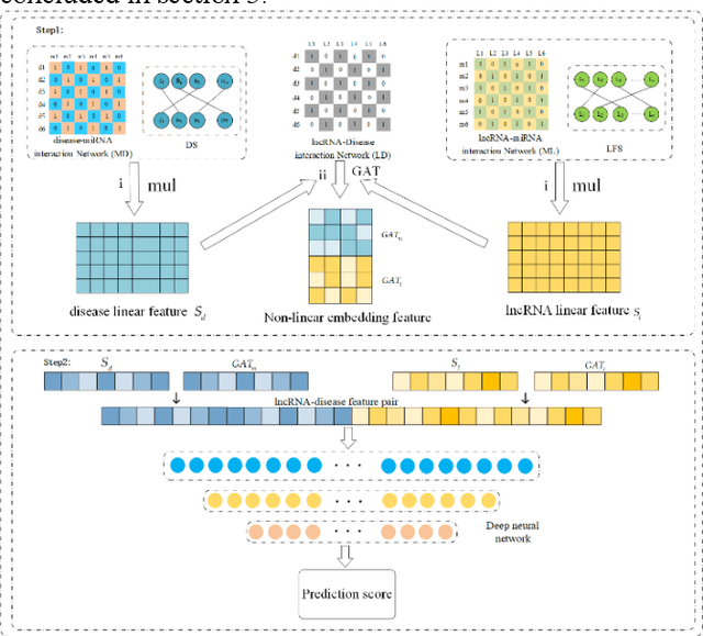 Figure 1 for Heterogeneous network and graph attention auto-encoder for LncRNA-disease association prediction