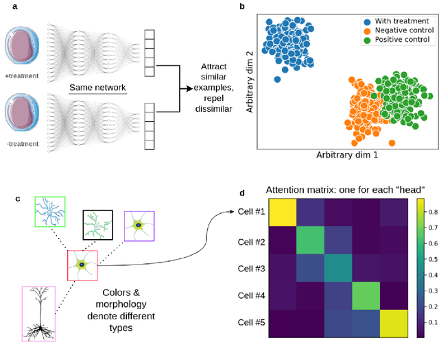 Figure 1 for Opportunities in deep learning methods development for computational biology
