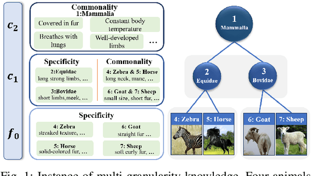 Figure 1 for Fine-Grained Domain Generalization with Feature Structuralization