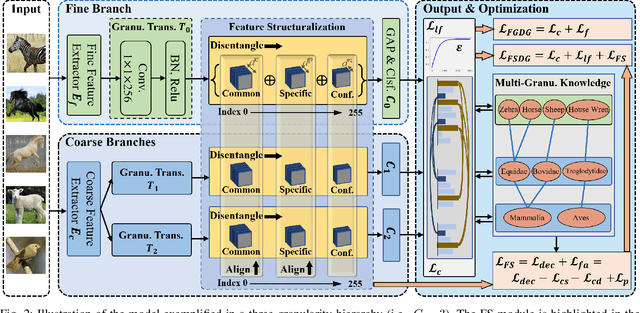 Figure 2 for Fine-Grained Domain Generalization with Feature Structuralization