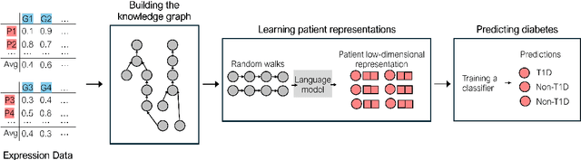 Figure 1 for Integrating Heterogeneous Gene Expression Data through Knowledge Graphs for Improving Diabetes Prediction