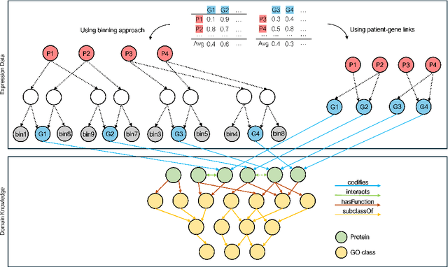 Figure 3 for Integrating Heterogeneous Gene Expression Data through Knowledge Graphs for Improving Diabetes Prediction