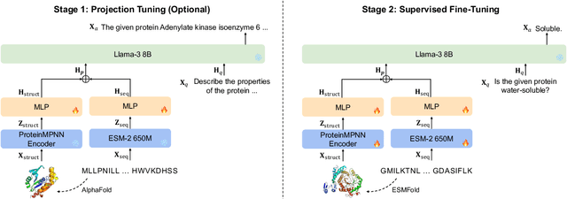 Figure 1 for EvoLlama: Enhancing LLMs' Understanding of Proteins via Multimodal Structure and Sequence Representations