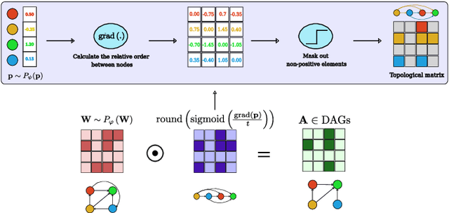 Figure 1 for Scalable Variational Causal Discovery Unconstrained by Acyclicity