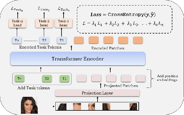 Figure 1 for Multi-Attribute Vision Transformers are Efficient and Robust Learners