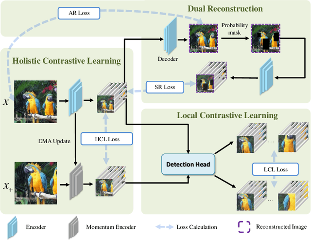 Figure 1 for Long-Tailed Object Detection Pre-training: Dynamic Rebalancing Contrastive Learning with Dual Reconstruction