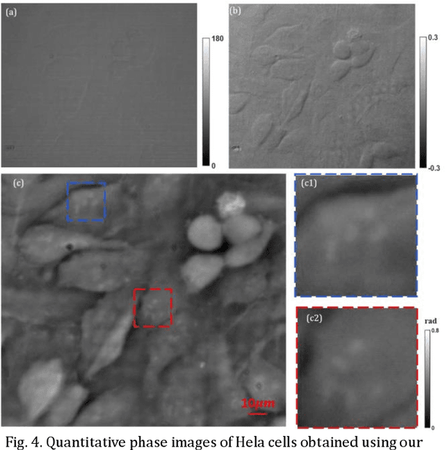 Figure 2 for Single-shot quantitative differential phase contrast imaging combined with programmable polarization multiplexing illumination