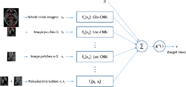 Figure 1 for An Interpretable Machine Learning Model with Deep Learning-based Imaging Biomarkers for Diagnosis of Alzheimer's Disease