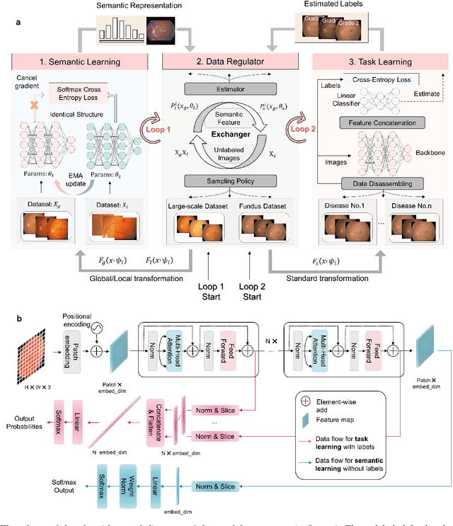 Figure 1 for Diagnosis of Multiple Fundus Disorders Amidst a Scarcity of Medical Experts Via Self-supervised Machine Learning