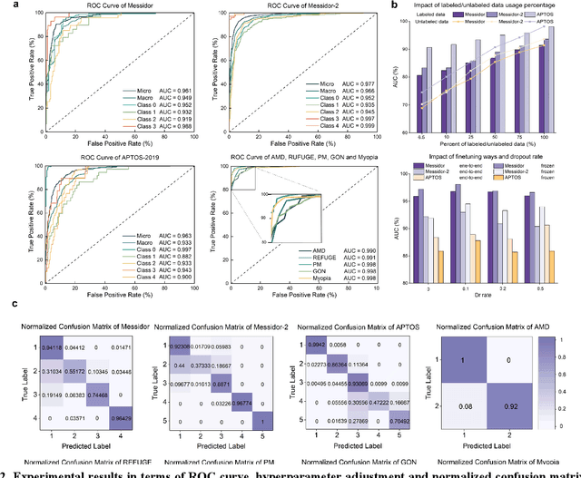 Figure 2 for Diagnosis of Multiple Fundus Disorders Amidst a Scarcity of Medical Experts Via Self-supervised Machine Learning