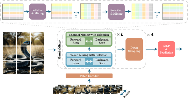 Figure 3 for MambaMixer: Efficient Selective State Space Models with Dual Token and Channel Selection