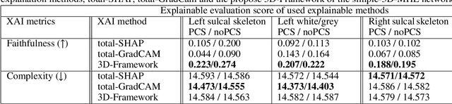 Figure 2 for A 3D explainability framework to uncover learning patterns and crucial sub-regions in variable sulci recognition